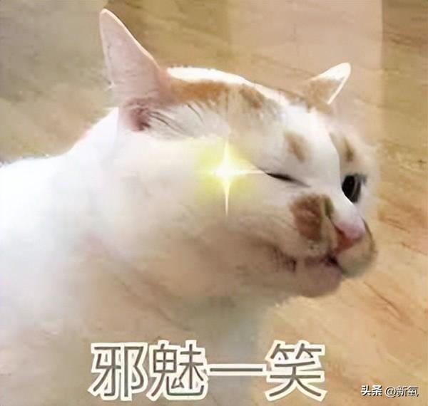 美到窒息！kep1er沈小婷国标拉丁舞火了