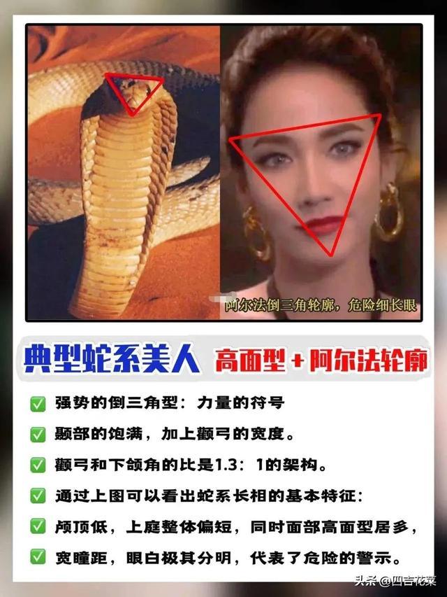 “蛇系”安宥真，“猫系”黄礼志，韩国女爱豆开始有“攻击性”了