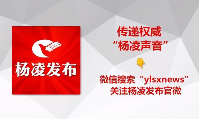 李婧看望慰问农高会参会媒体记者