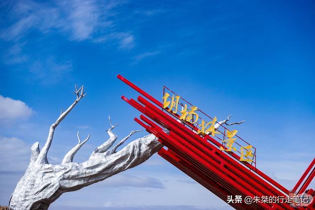 世界上海拔最高的胡杨林，四季风姿各异，就在我国的“江河源头”