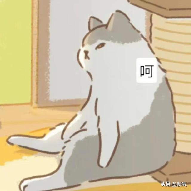 美到窒息！kep1er沈小婷国标拉丁舞火了