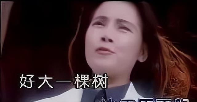 上个世纪末的著名女歌手田震为何消失了？