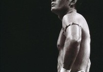 谢雷个人资料 中国拳手击败日本顶尖高手的记录